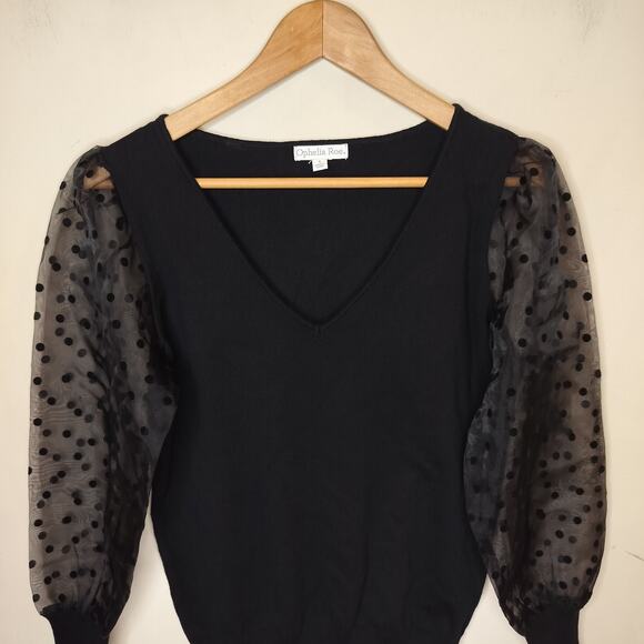 Ophelia Row Sweater Sheer Polka Dot Sleeve V Neck - Picture 2 of 8